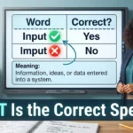 Input or Imput: Which Is Correct? Meaning, Spelling, and Common Usage Explained